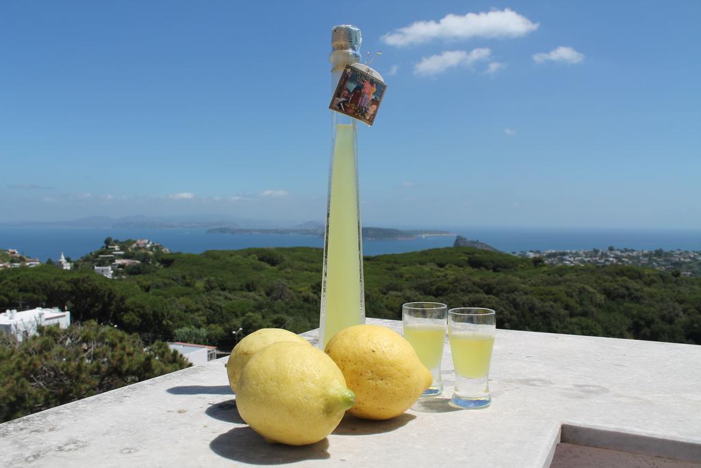 Villa La Favola Barano dʼIschia Εξωτερικό φωτογραφία